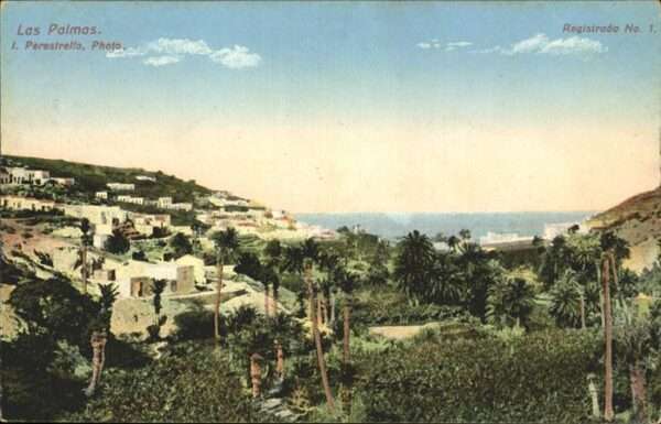 Las Palmas Gran Canaria Palmen Meer