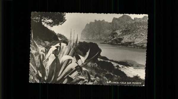 Mallorca Cala San Vicente