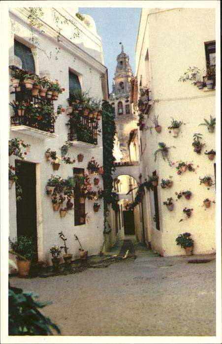 Cordoba Andalucia Calle de las Flores