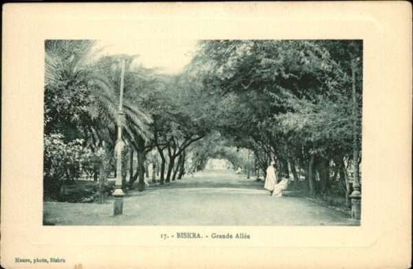 Biskra Grande Allee