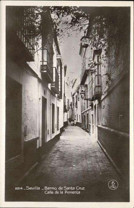 Sevilla Andalucia Barrio de Santa Cruz Calle de la Pimien