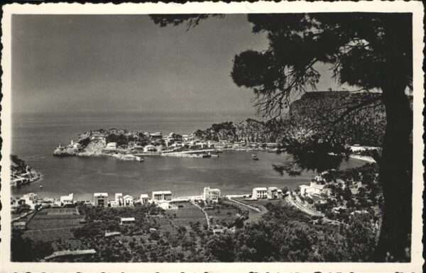 Soller Puerto