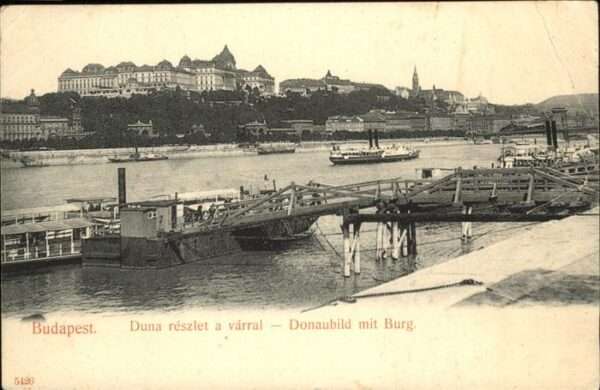 Budapest Burg Donau Dampfer