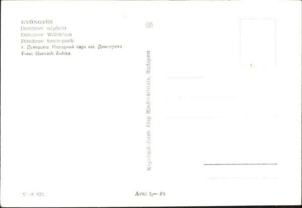 Gyoengyoes Dimitrov Wäldchen – Bild 2