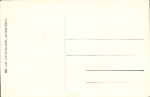Szatmarnemeti Kir. Törvenyszek – Bild 2
