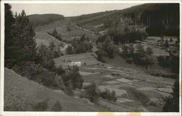 Chlebske Koupaliste
