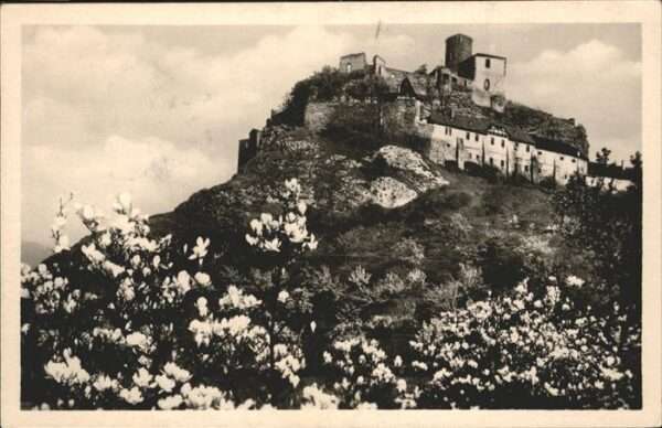Hrad Strekov Burg