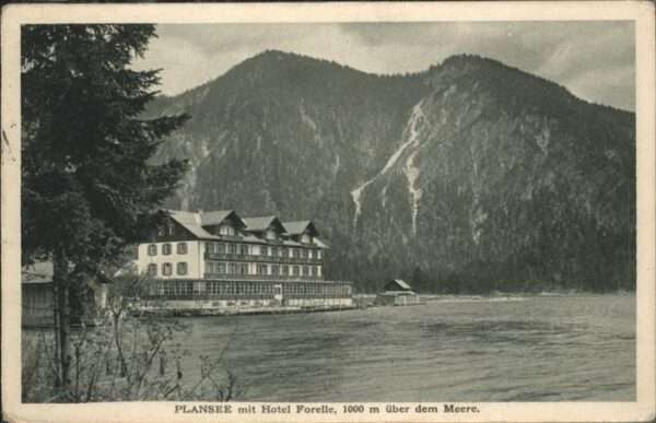 Plansee Hotel Forelle