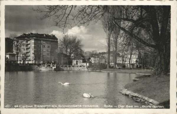 Sofia Sophia See Boris Garten Schwan