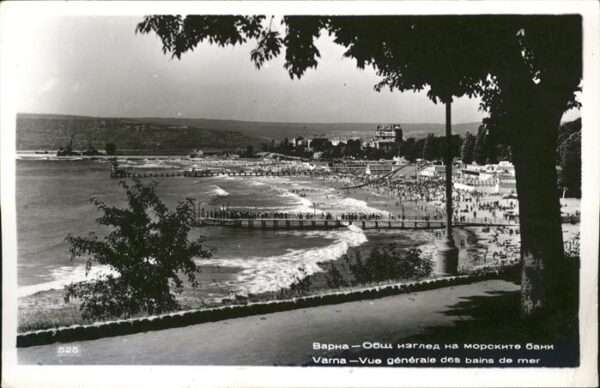 Varna Warna