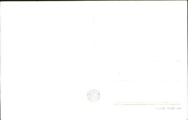 Varna Warna – Bild 2