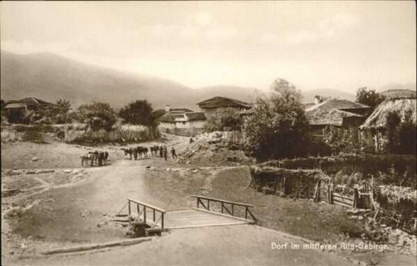 Rila Gebirge Pferd