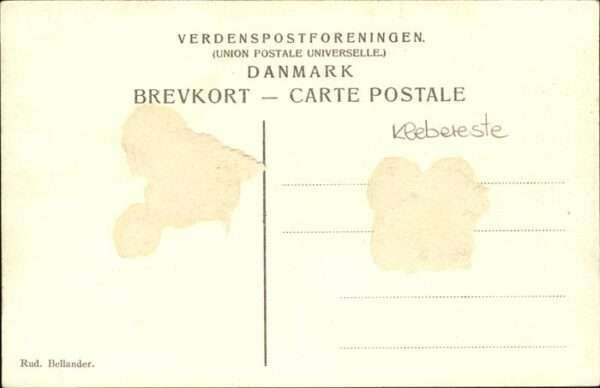 Viborggaard – Bild 2