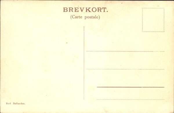 Tollose – Bild 2