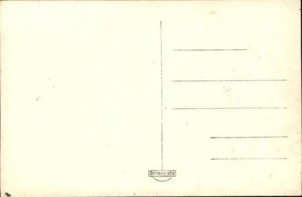 Tetschen-Bodenbach Boehmen Zug Schiff Brücke – Bild 2