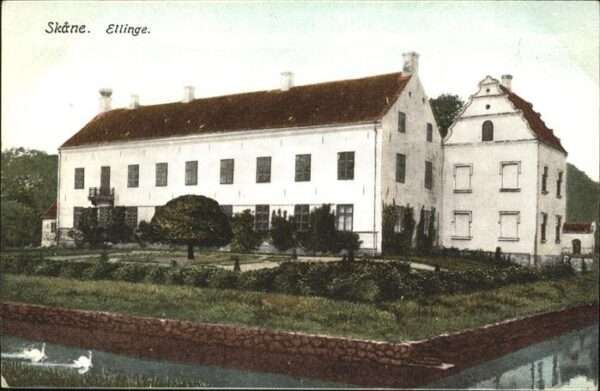 Skane Ellinge Schwan