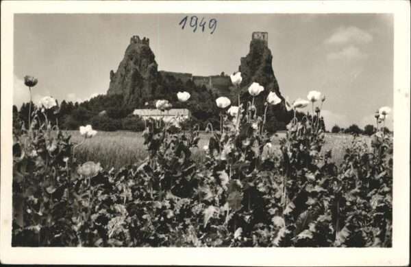 Turnov Burg Trosky
