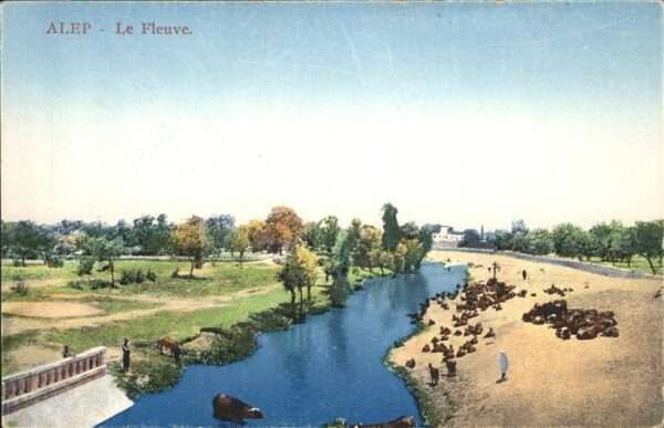 Aleppo Syria Le Fleuve