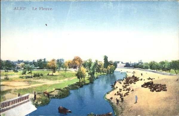 Aleppo Syria Le Fleuve