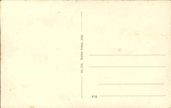 Meskene Caravane Kamele – Bild 2