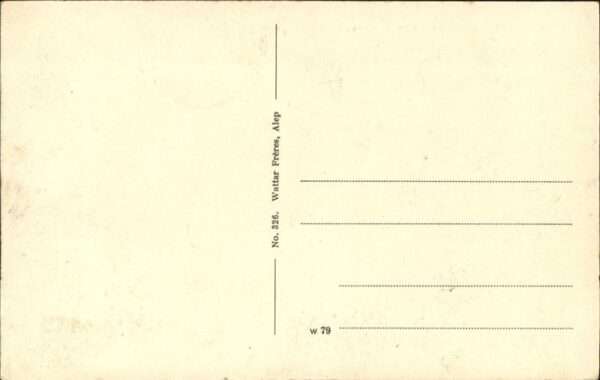 Hamam Syrie Panorama – Bild 2