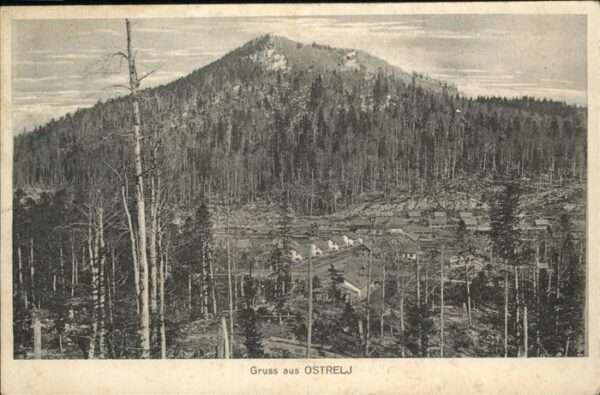 Ostelj Opstina Bor Panorama