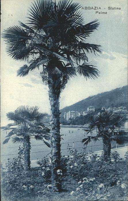 Opatija Abbazia Slatina
Palme