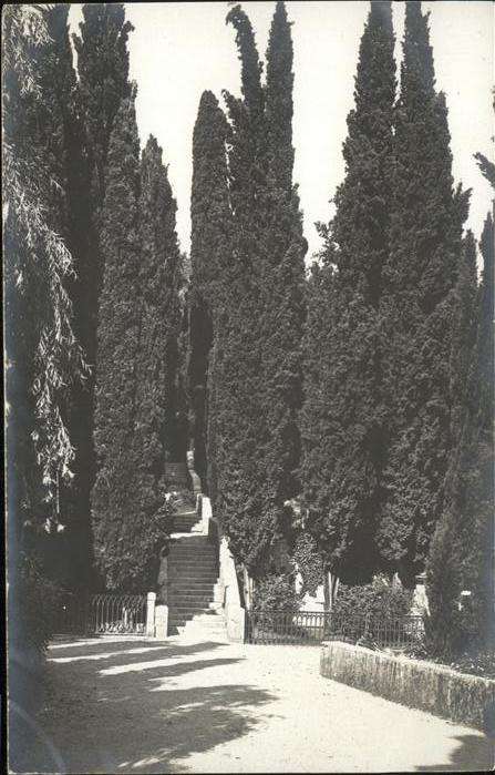 Opatija Abbazia 1909 
Park