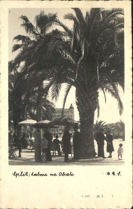 Gradac Palme
Obali