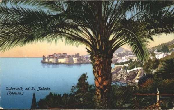 Dubrovnik Ragusa Ragusa
Panorama