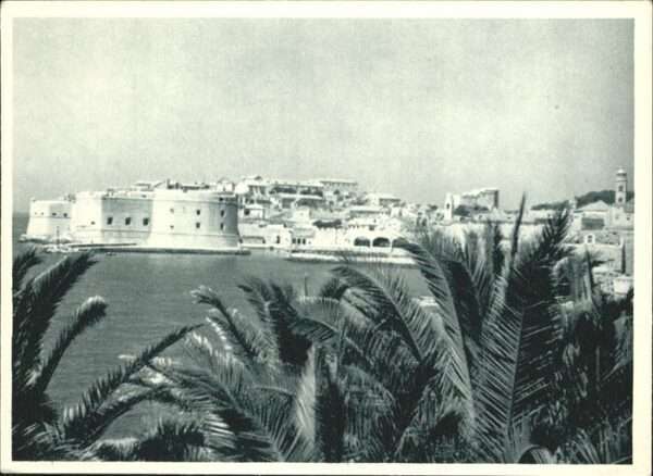 Dubrovnik Ragusa Panorama
