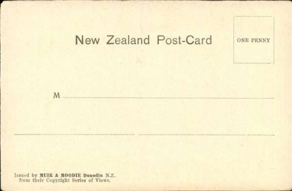 Dunedin Otago Cathedral Square
Christchurch – Bild 2