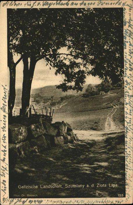 Szumlany Galizien Galizische Landschaft
Zlota
Lipa