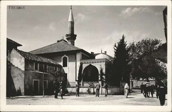 Trebinje Savo Pavlica