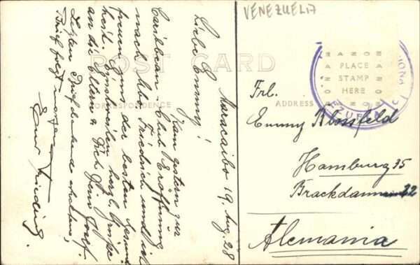 Elmilacro Quinta Marquez – Bild 2