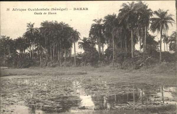 Dakar Oasis de Hann