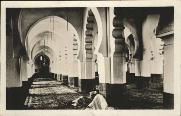Alger Algerien Mosquee