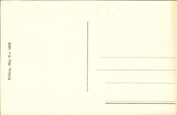 Haelsingborg Radhuset Stenbocksstatyn – Bild 2