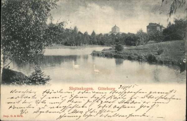 Goeteborg Slottskogen Schwan