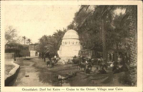 Kairo Orientfahrt Esel