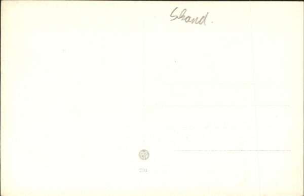 Skane Kuh – Bild 2