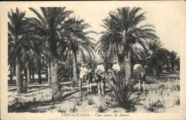 Tripolitania