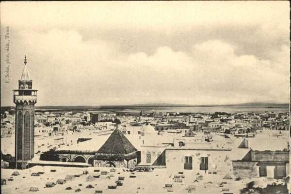 Tunis panorama