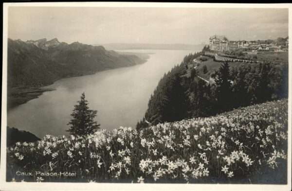 Caux VD Palace-Hotel