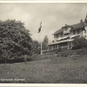 Hamar Foltebu
Björnson`s Aulestad