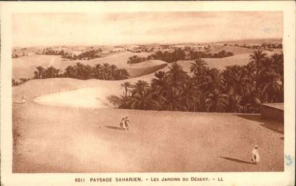 Sahara Paysage Saharien
jardins du Desert