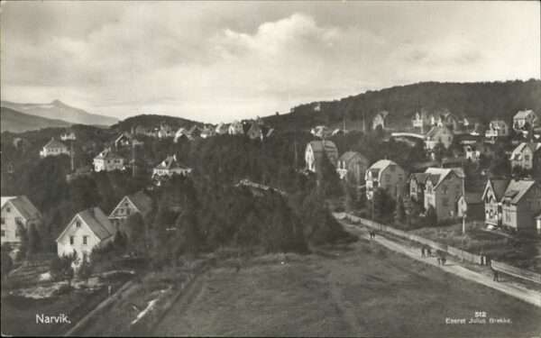 Narvik Panorama