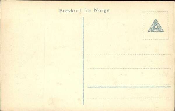 Vossevangen Voss Vangsvatnet Panorama – Bild 2