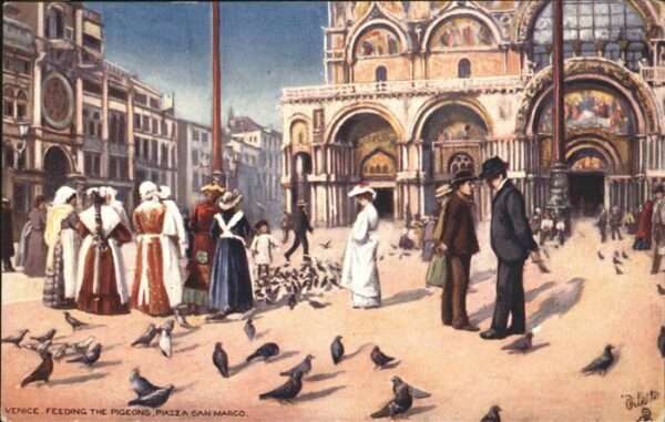 Venice  Venedig Venezia IT Piazza San Marco Vögel