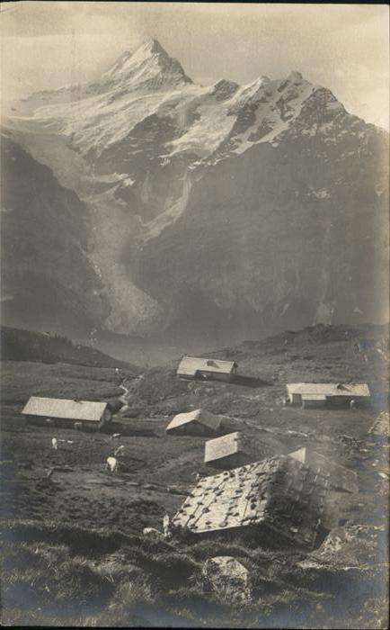 Grindelwald Alp Bachläger Waldspitz